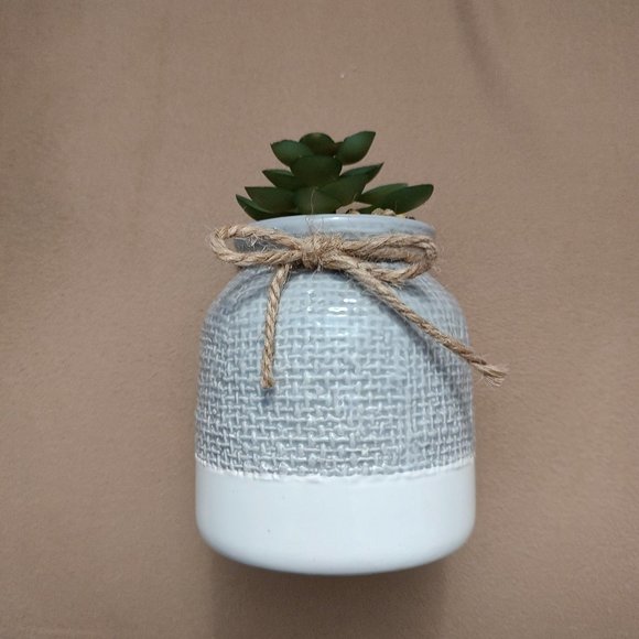 Old East Main Co. Faux Imitation Fake Succulent Plant & Ceramic Vase Gray White - Picture 2 of 9